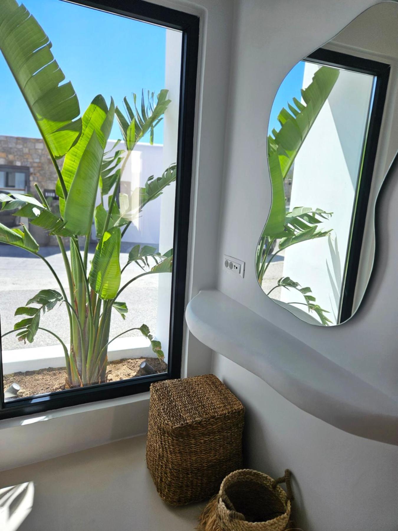 Elli Tropical Suites Mykonos Town Kültér fotó