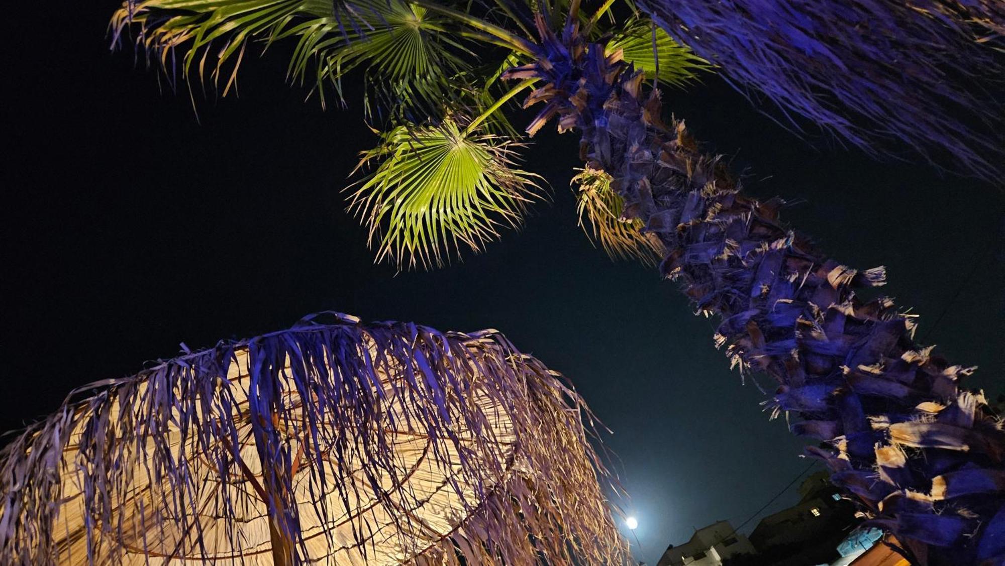 Elli Tropical Suites Mykonos Town Kültér fotó