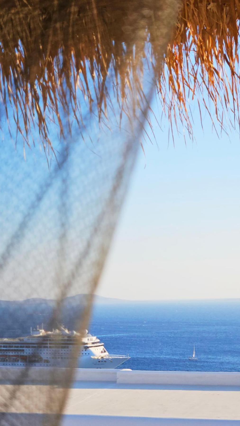 Elli Tropical Suites Mykonos Town Kültér fotó