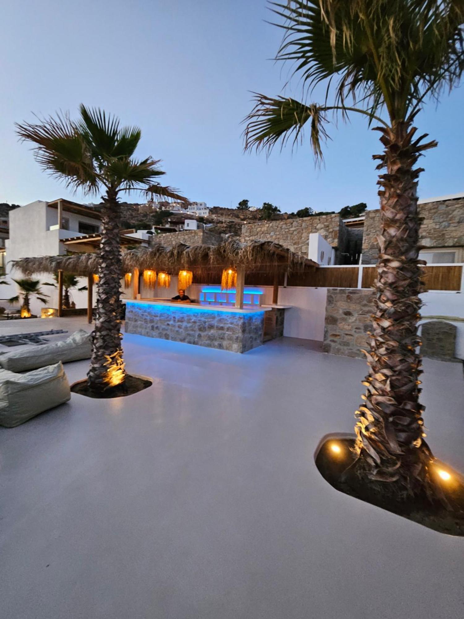 Elli Tropical Suites Mykonos Town Kültér fotó