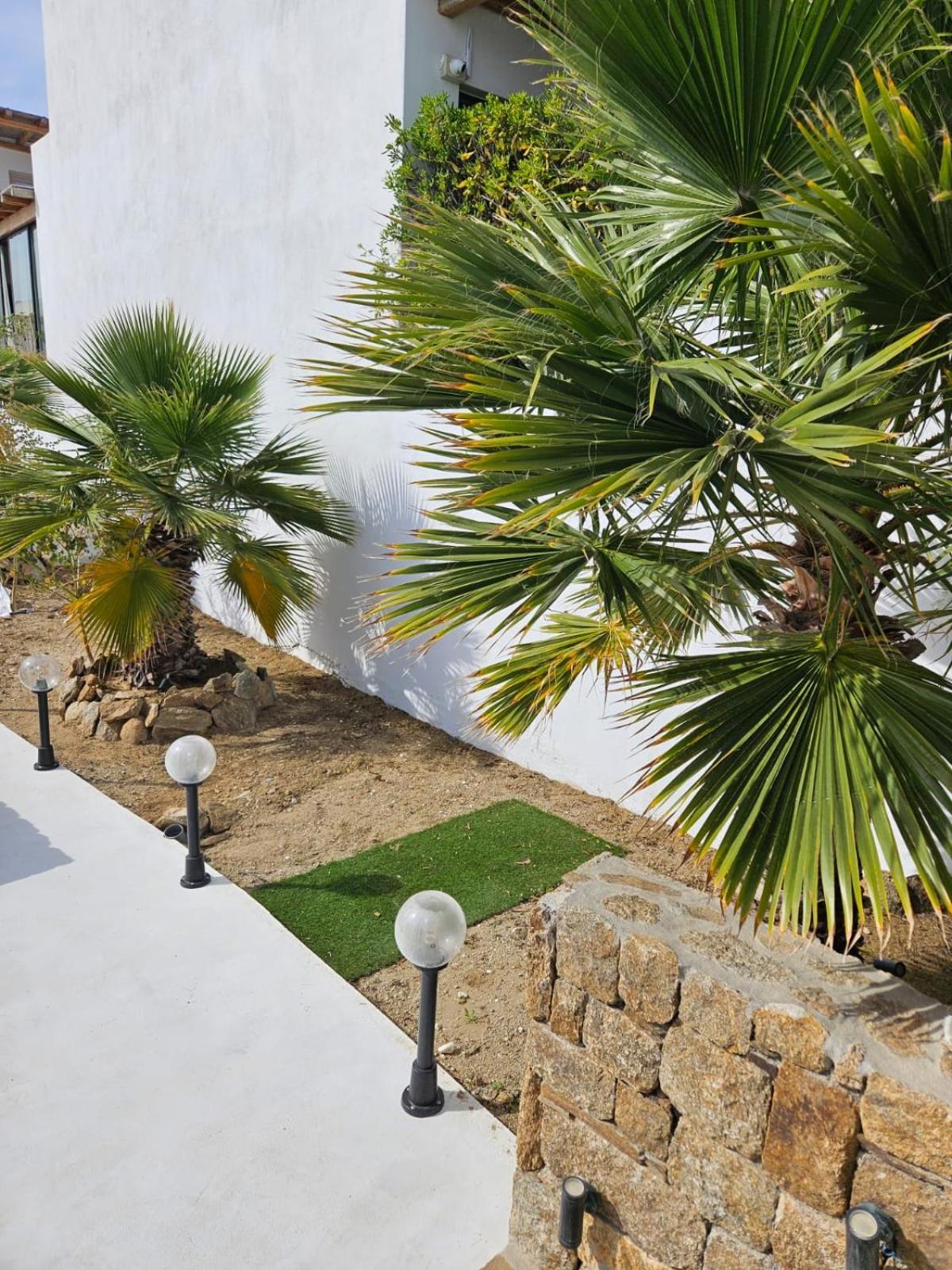 Elli Tropical Suites Mykonos Town Kültér fotó