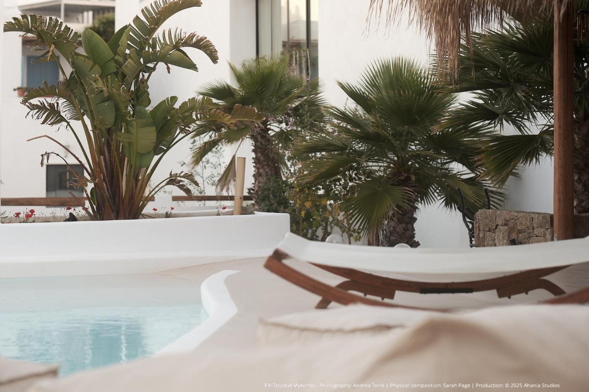 Elli Tropical Suites Mykonos Town Kültér fotó