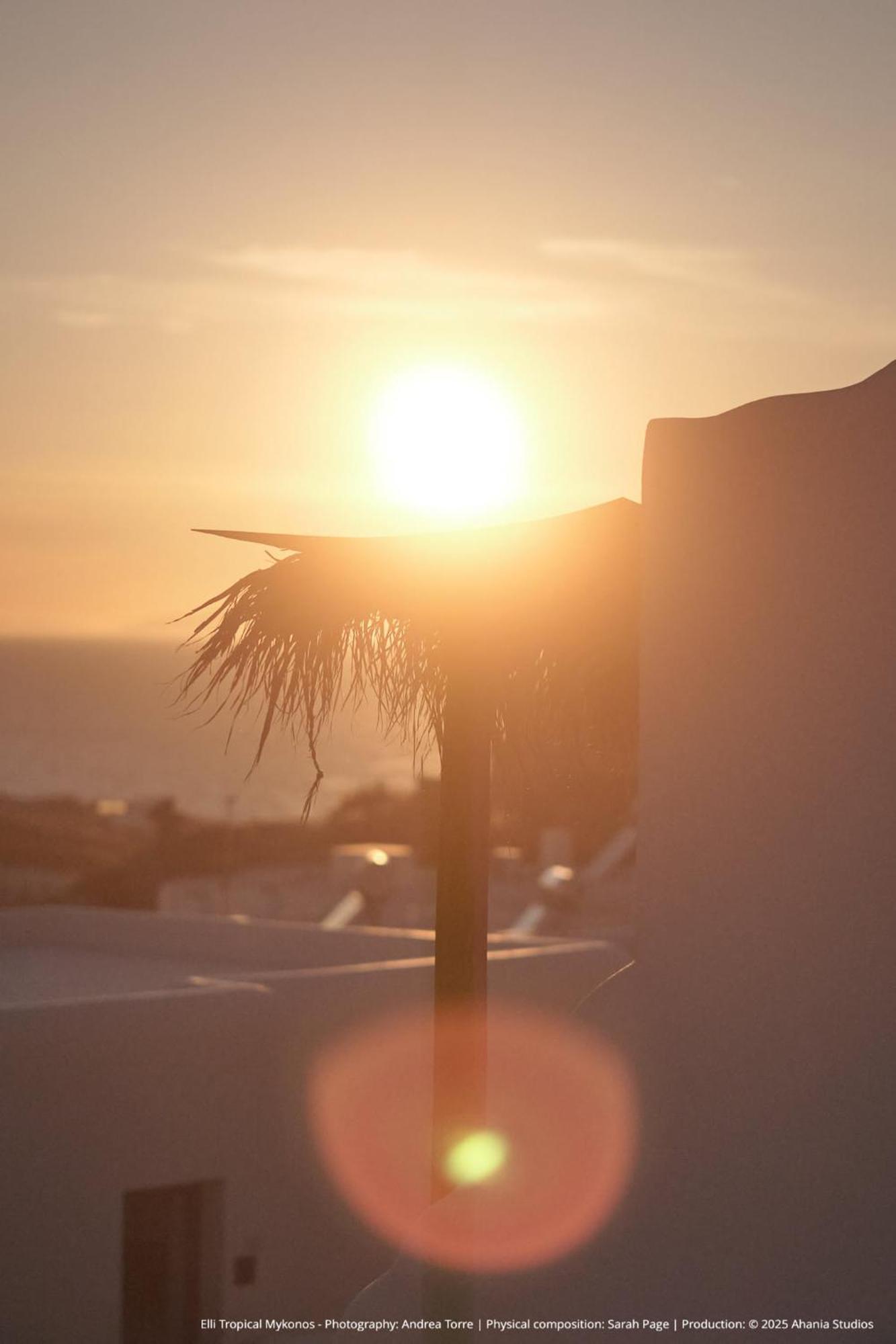 Elli Tropical Suites Mykonos Town Kültér fotó