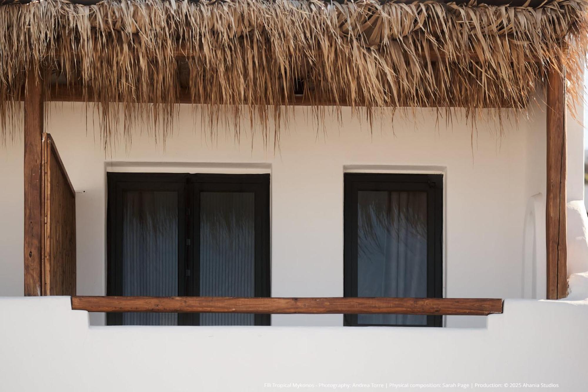 Elli Tropical Suites Mykonos Town Kültér fotó